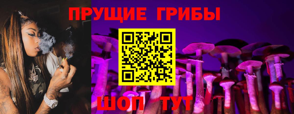 Галлюциногенные грибы Psilocybine cubensis Евпатория
