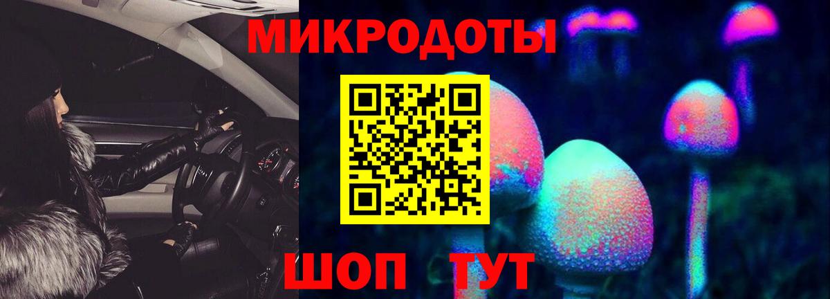 Евпатория  Псилоцибиновые грибы прущие грибы  Вход с VPN  Псилоцибиновые грибы Psilocybine cubensis 